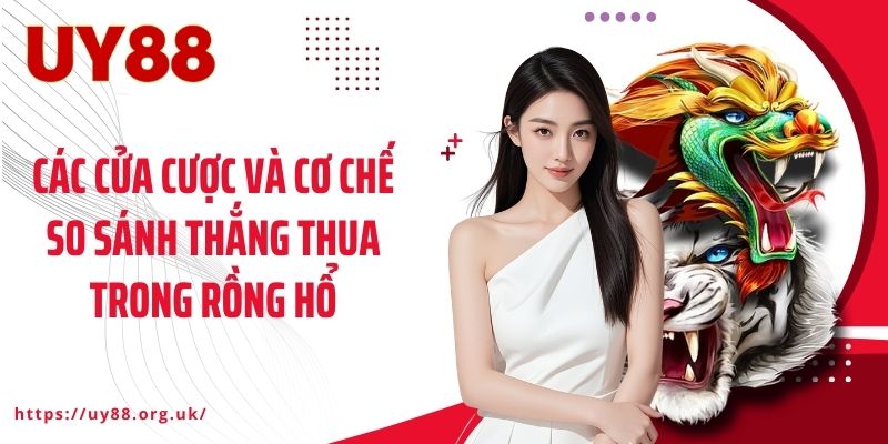 Các cửa cược và cơ chế so sánh thắng thua trong Rồng Hổ