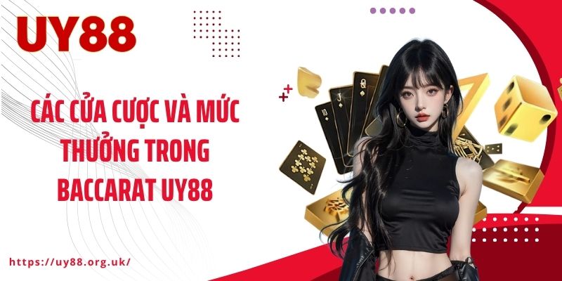 Các cửa cược và mức thưởng trong Baccarat UY88